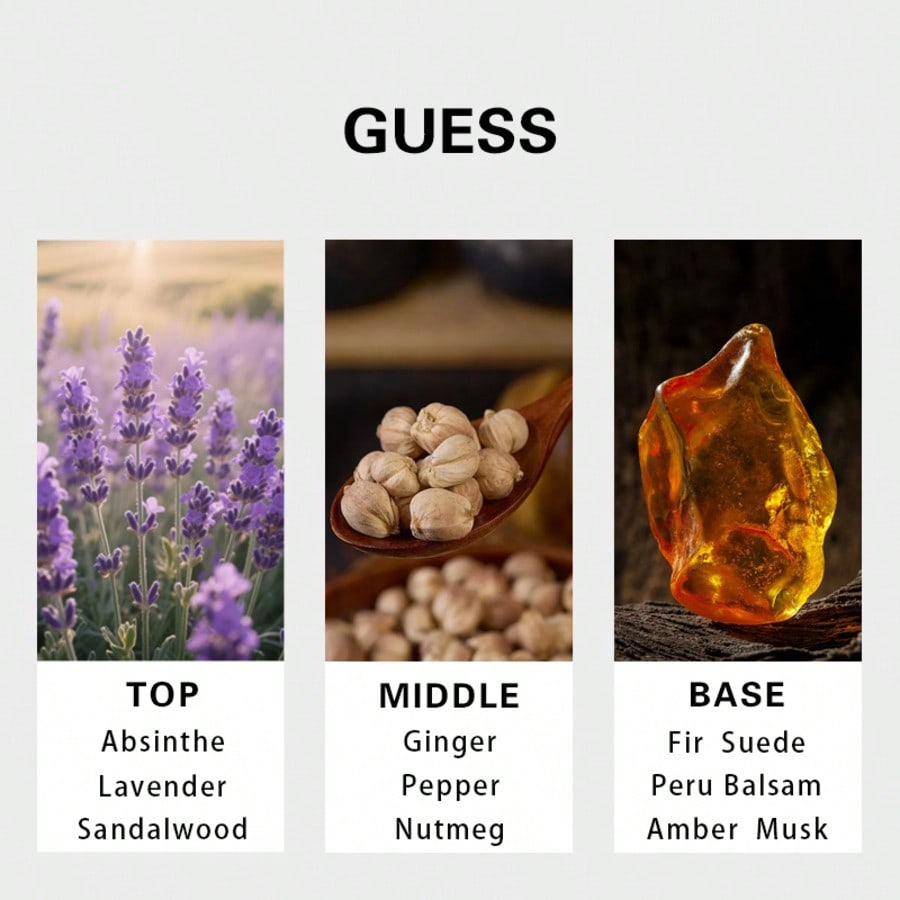 Guess Gold Herren Eau De Toile – You Perfume Fragrance Bewertung und Preis